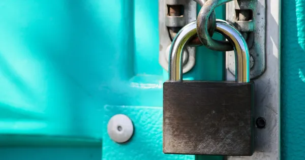 img of Model Stealing via Black-Box API Access: Methods and Defences